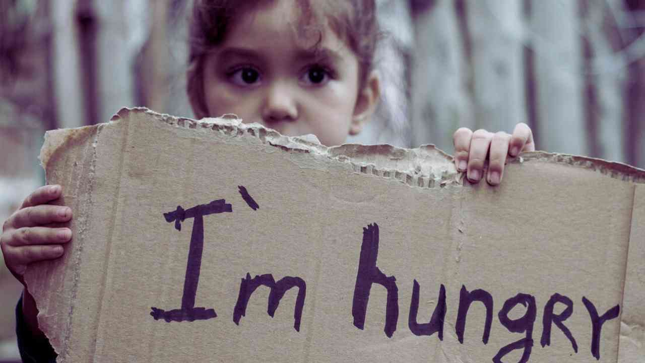 The-Council-of-Mosques